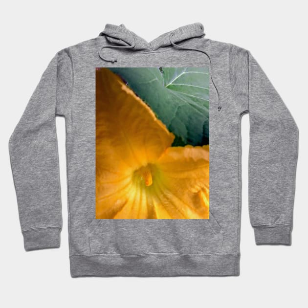 Pumpkin Blossom & Foliage Hoodie by Hajarsdeco